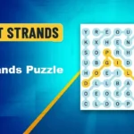 NYT Strands Puzzle Answers
