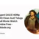 Hiidude org