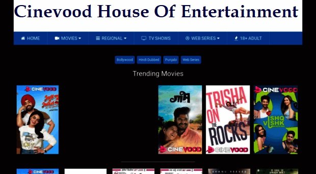 Cinevood House Of Entertainment