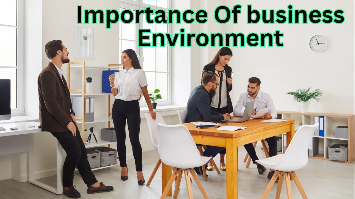 importance of business environment