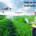 How to Improve Crop Yield with Technology
