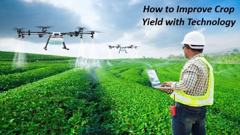 How to Improve Crop Yield with Technology